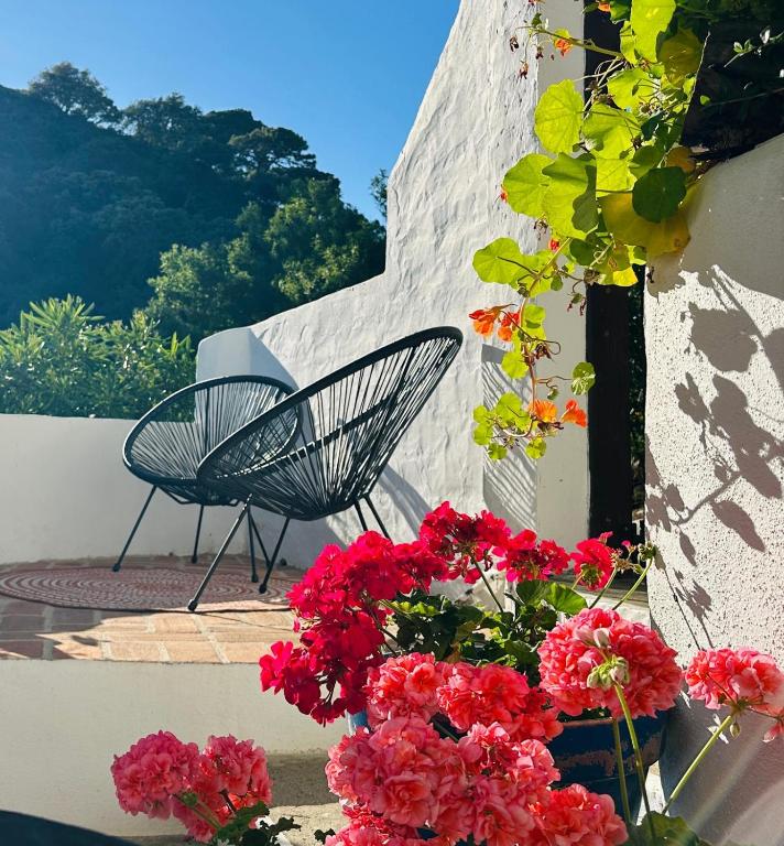 a couple of chairs sitting on a patio with flowers at El nido de aguila in Casares