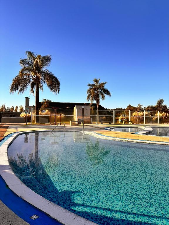 a large swimming pool with palm trees in the background at Termas Concepcion in Concepción del Uruguay