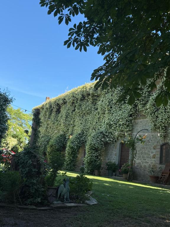 a building covered in ivy with a statue in the yard at antica Villa con Giardino in Bomarzo