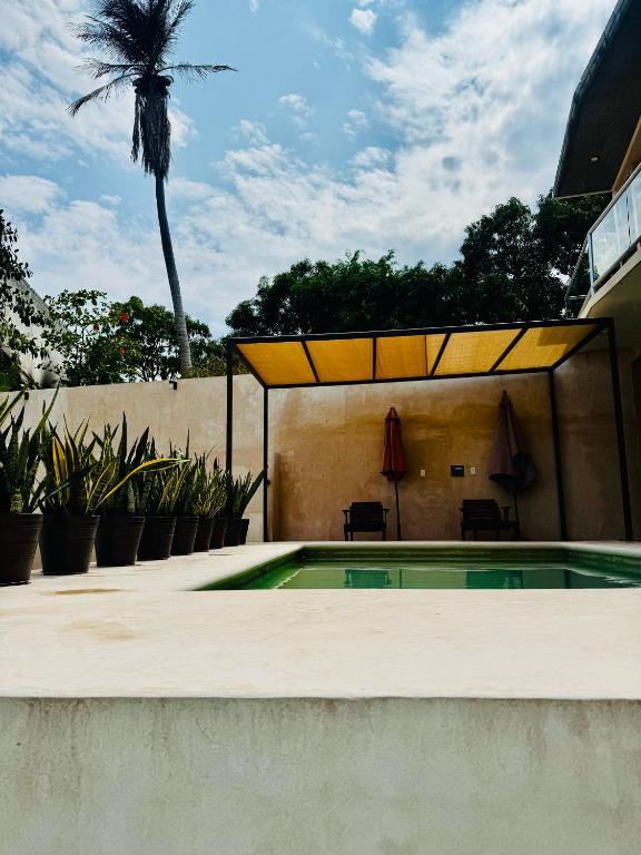 a swimming pool with a patio and a palm tree at Casa Tachu in Puerto Escondido