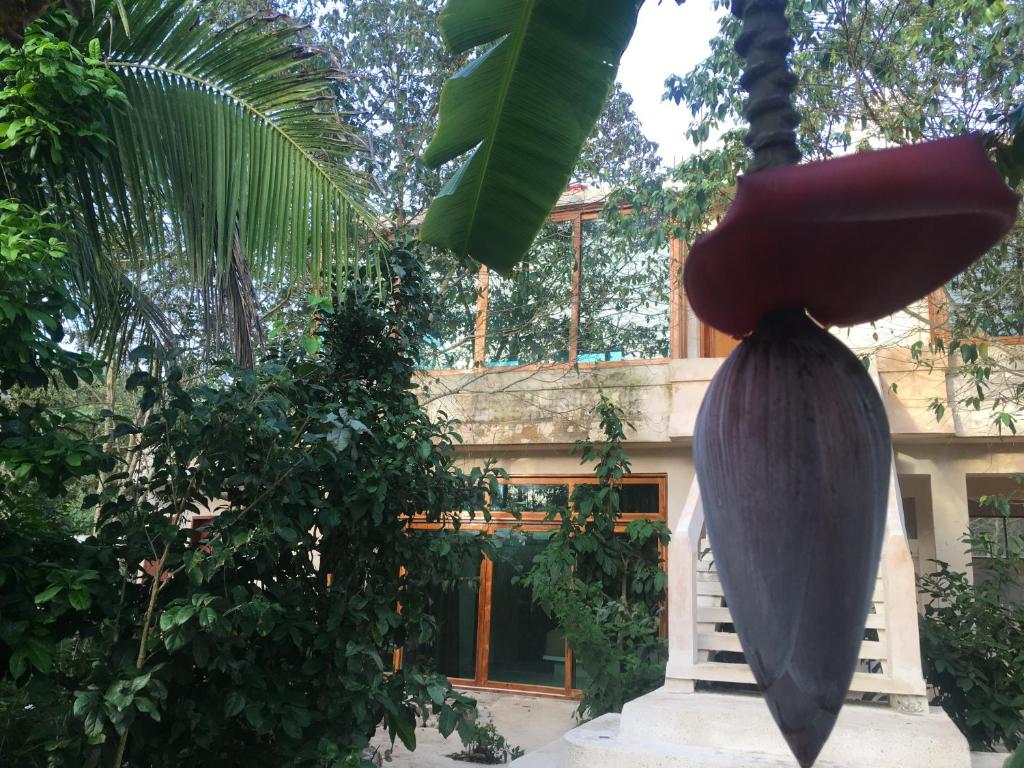 Zahrada ubytování Hotel Casa Maya Calakmul
