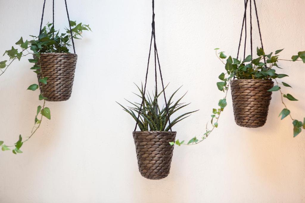 Eco Boutique Hostal Grau - Resim 44