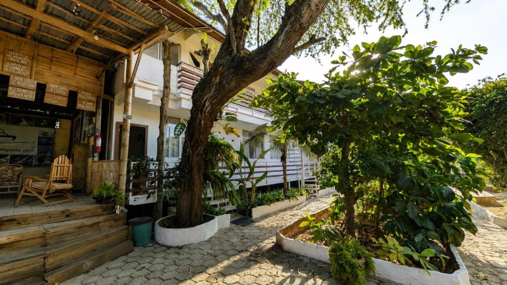 a building with a tree in front of it at Suites Villa Colombia in Puerto López