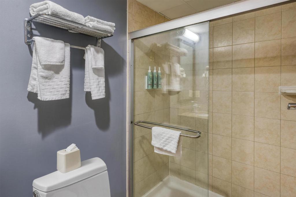 Best Western Owego Inn photo