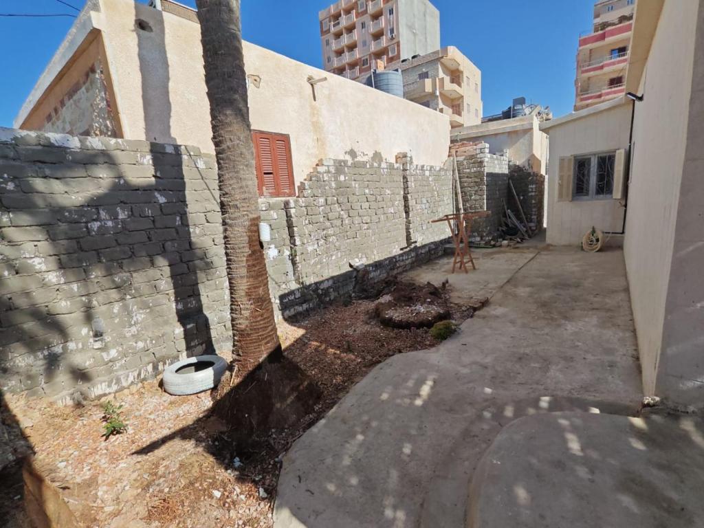 a wall with a palm tree next to a building at شاليه العميد chalet in Marsa Matruh