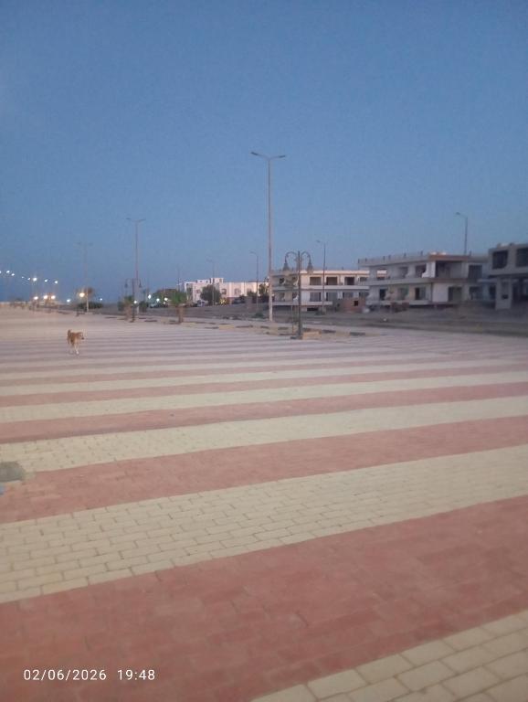 a large parking lot with a dog walking in it at Beach hostel in Marsa Alam City