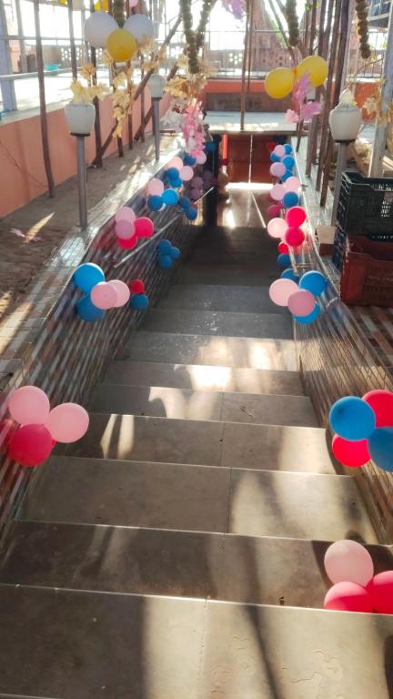 a group of umbrellas lined up on a sidewalk at Mauni Ashram in Prayagraj