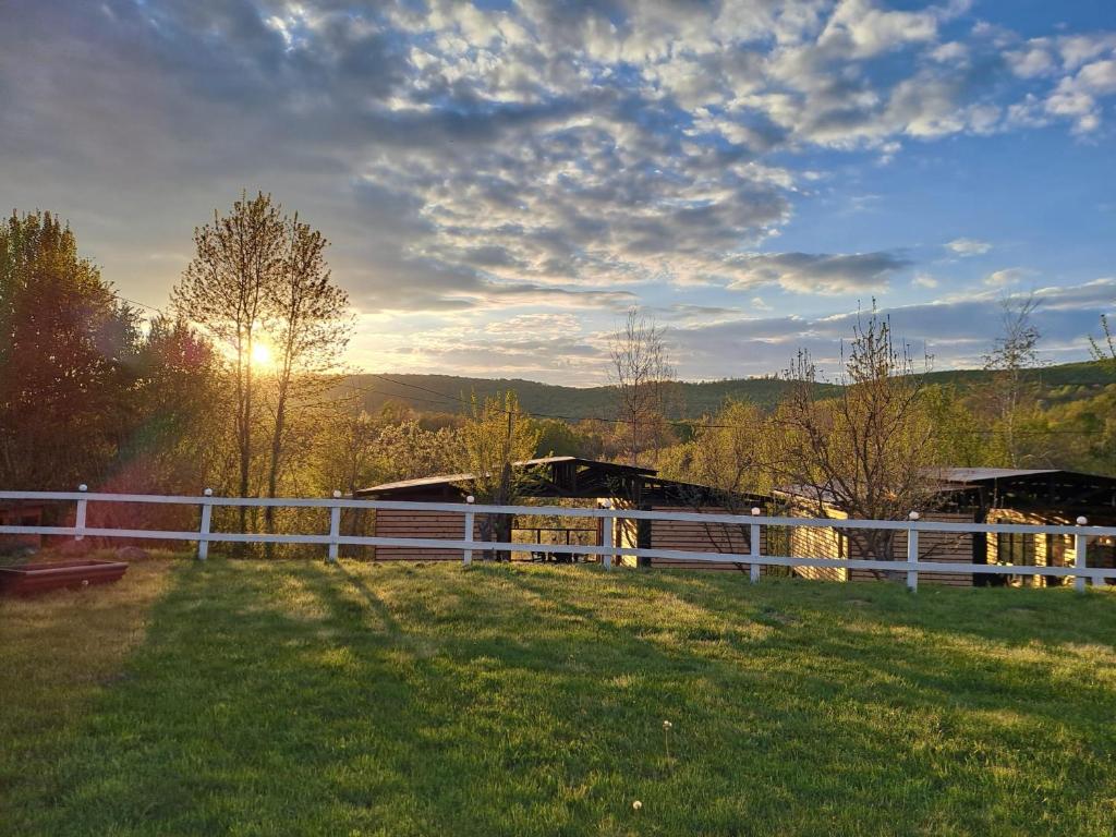 a fence in a field with the sun in the background at Greengold in Săcădat