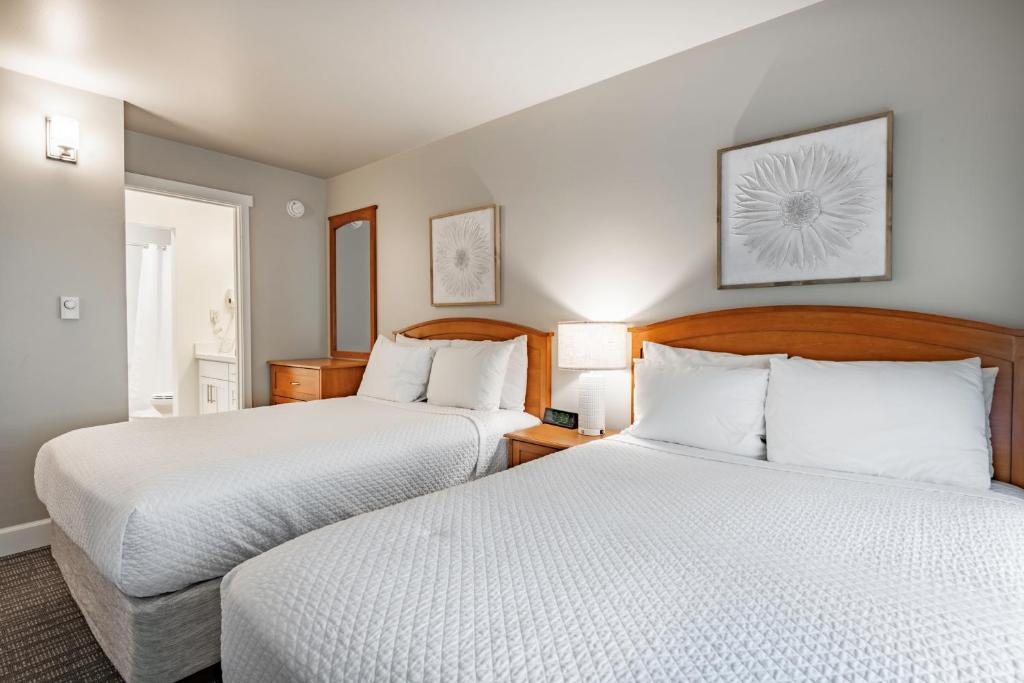 La Residence Suite Hotel - Suite Superior