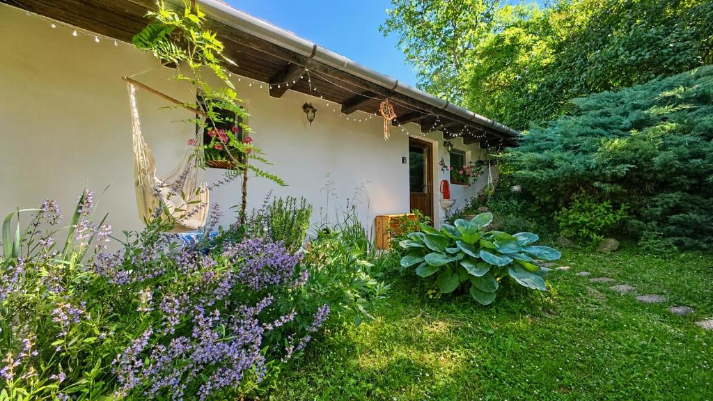 a garden with purple flowers and a house at Csigaház Vendégház in PerÅ‘csÃ©ny