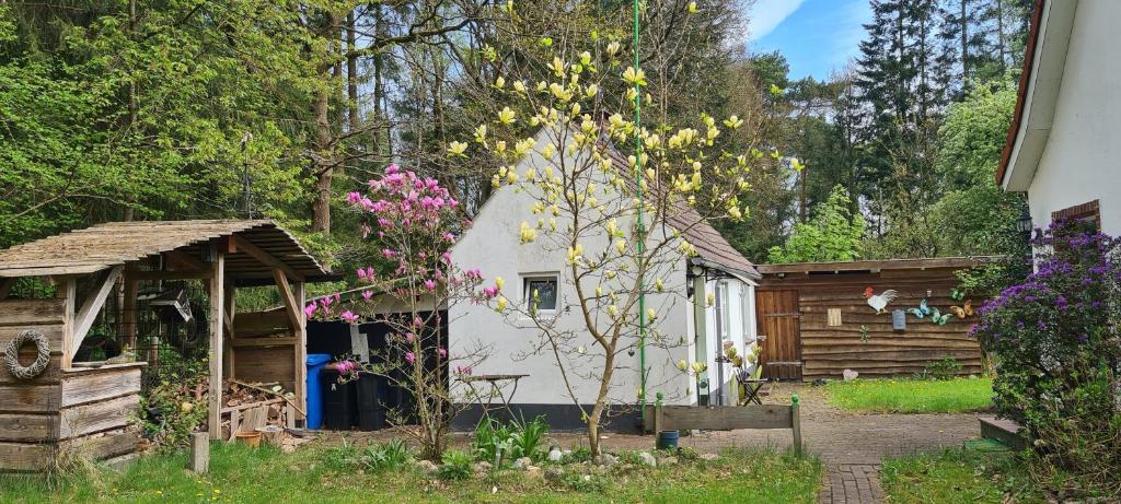 a small white house with a gazebo and flowers at Tiny house im Wingster Forst in Wingst