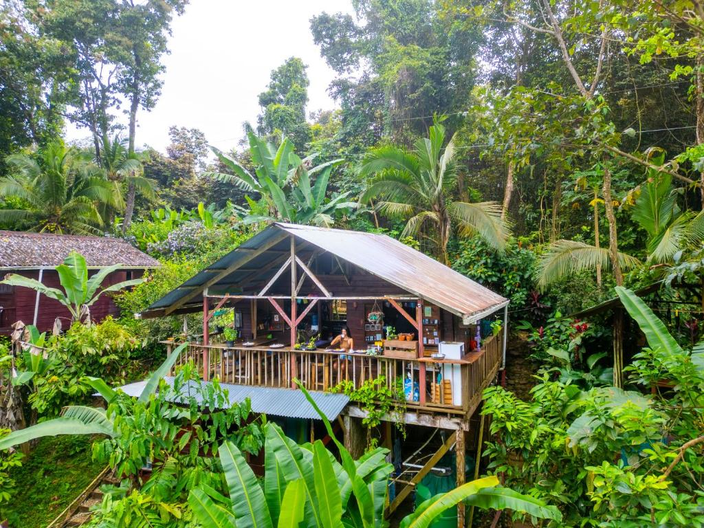 a restaurant in the middle of a forest at Pure Roots in Bastimentos