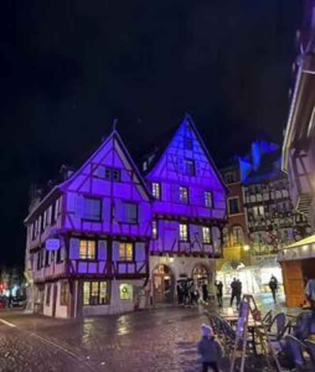Studio Colmar down-town I Private Parking I Bright – photo 23