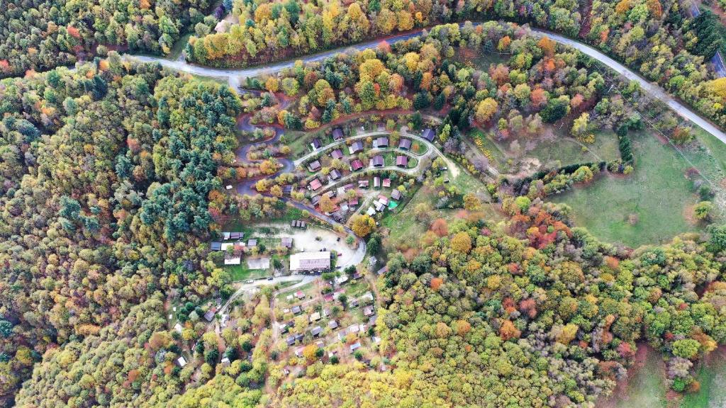 an aerial view of a park in the forest at Camping Yoghi e Bubu in San Giacomo