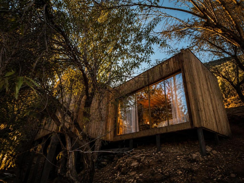 a house built around a tree in the woods at Santuario Lodge Arrayan in Lo Barnechea