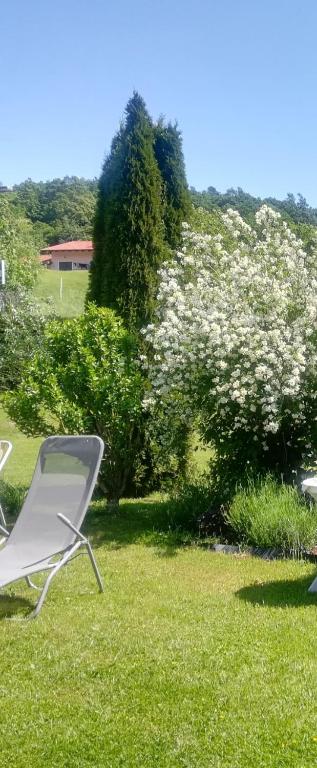 two lawn chairs sitting in the grass in a field at Apartma Deni in Jelšane