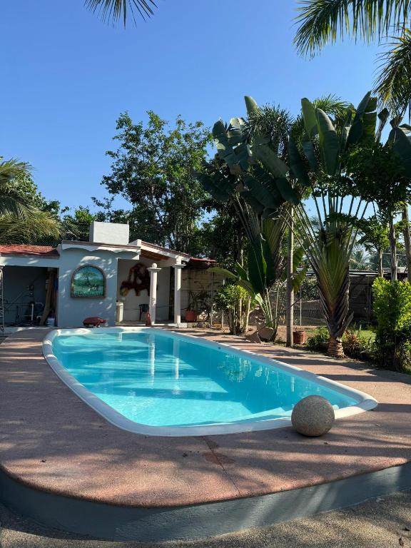 a swimming pool in front of a house with palm trees at Hotel El Texcalame in Lo de Marcos