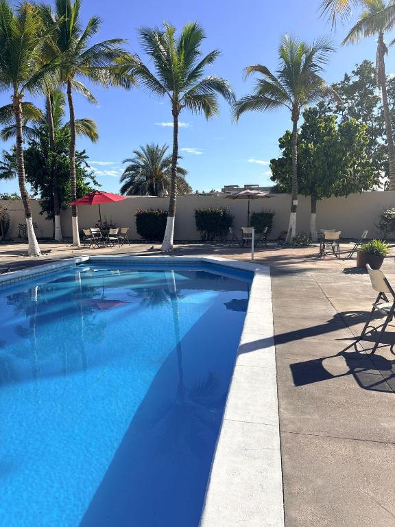 Ein Swimmingpool mit Palmen im Hintergrund in der Unterkunft Amet Hotel Boutique in La Paz