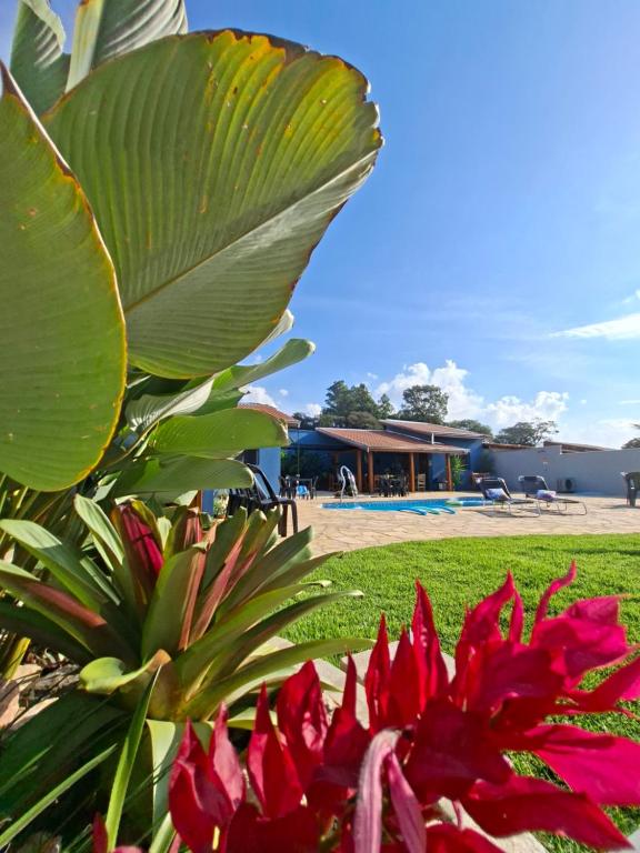 a plant with red flowers next to a pool at Pousada Aroma de Café em Socorro-SP in Socorro
