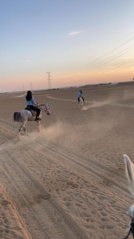 a group of people riding horses in the desert at شاليهات ذهب in Amman
