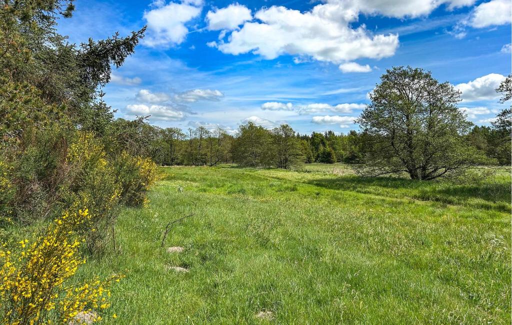 a field of green grass with trees and a blue sky at Beautiful Home In Ans By in Roe