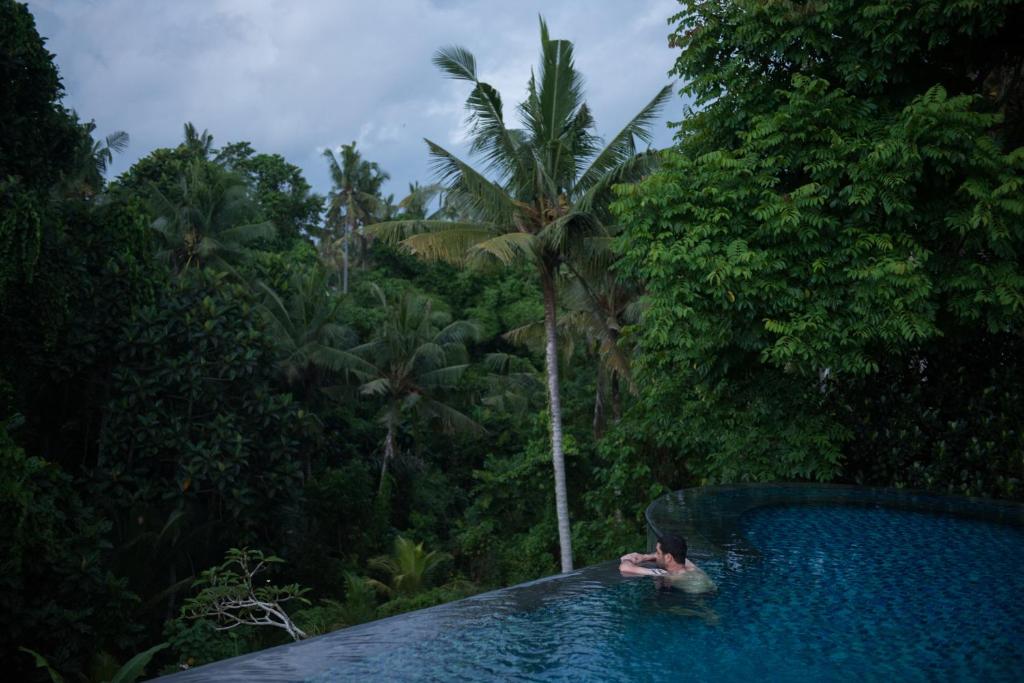 a person in a swimming pool in a jungle at Tirta Arum in Ubud