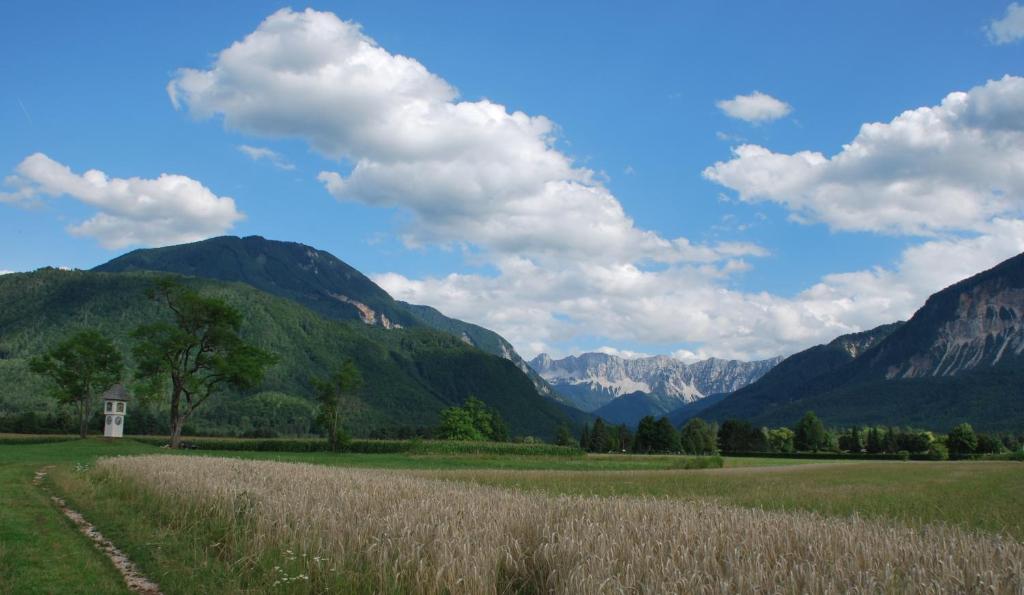 Paesaggio naturale nelle vicinanze dell'appartamento