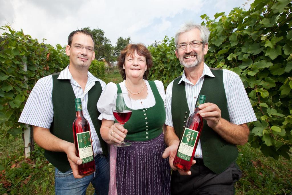 Hosté ubytování Weingut Seiner vlg. Kraxner