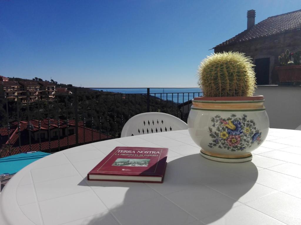 Civezza的住宿－Ca dei Nonni，书和花瓶中的仙人掌