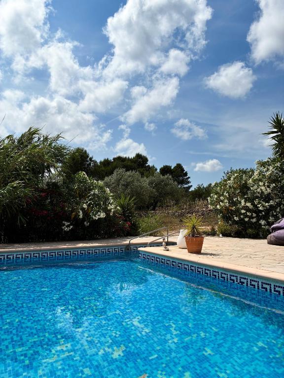 Finca Tivissa - One-Bedroom Apartment