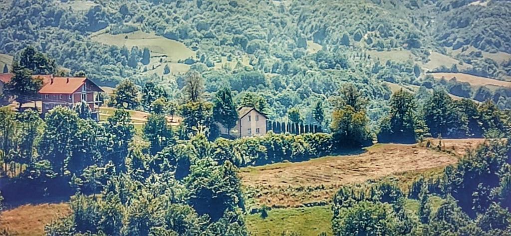 a house on top of a hill with trees at Vila Brdjanka in Šipovo