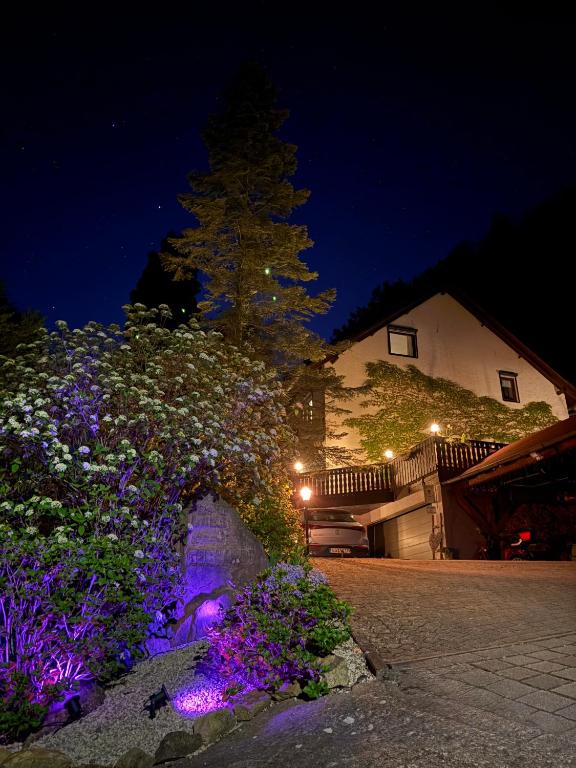 a building with purple flowers at night at Gästehaus Gerhardt in Schweigen-Rechtenbach