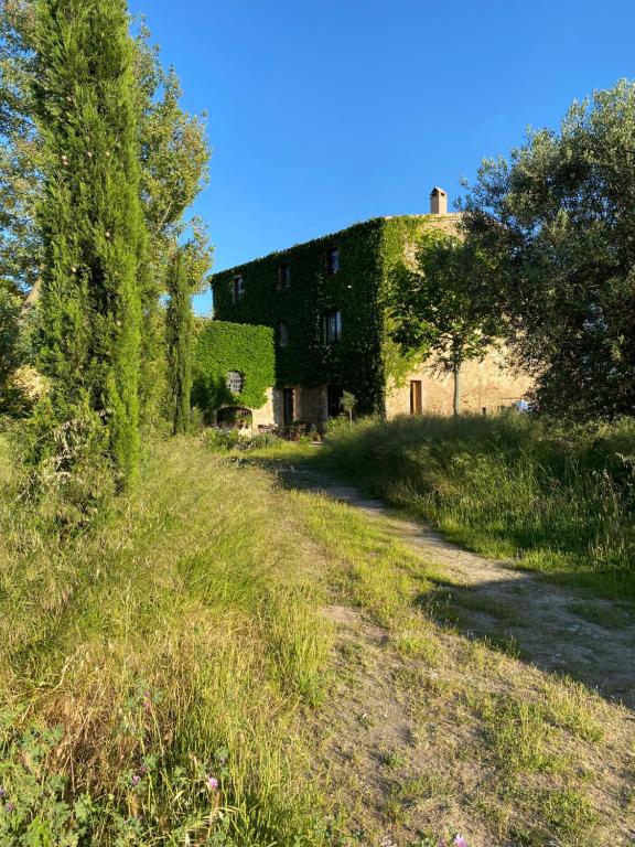 an old building with ivy on the side of a road at Ca La Botera in Verges