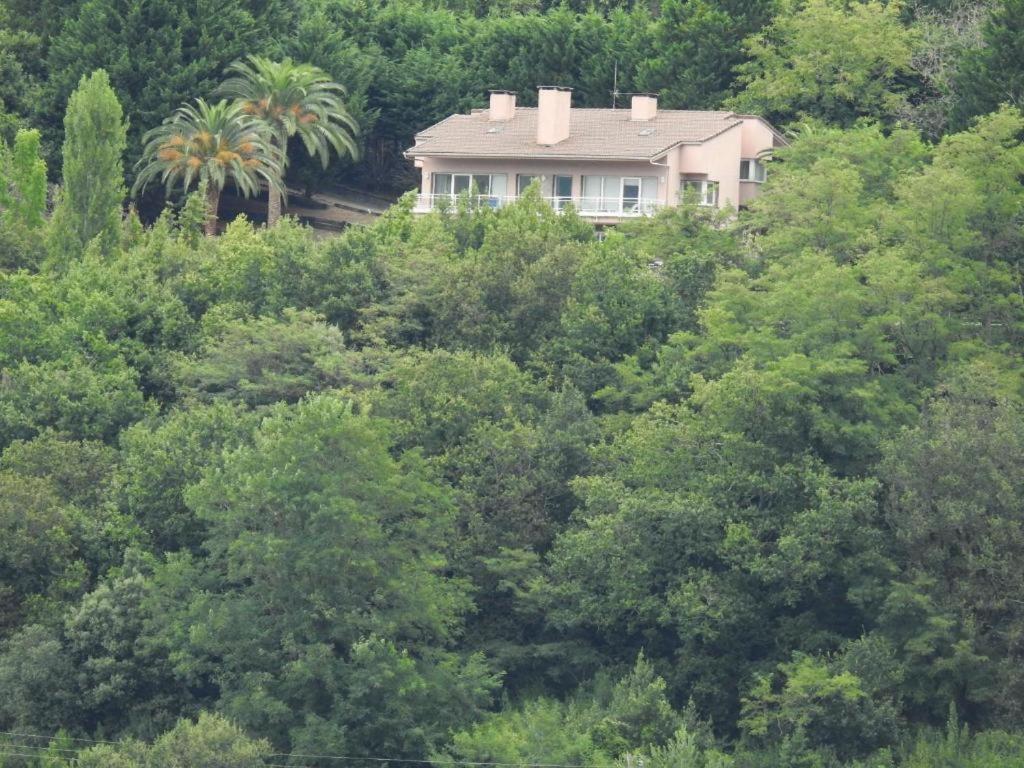 a house in the middle of a forest of trees at VILLA ISLAS Urdaibai in Isla Becoa