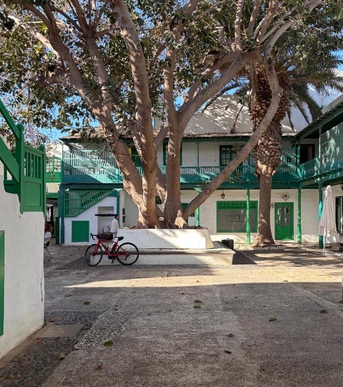 a red bike parked in front of a building with trees at Oasis de César- Arquitectura Manriqueña in Costa Teguise