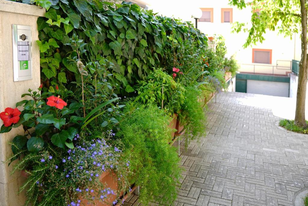 Zahrada ubytování B&B President's Home