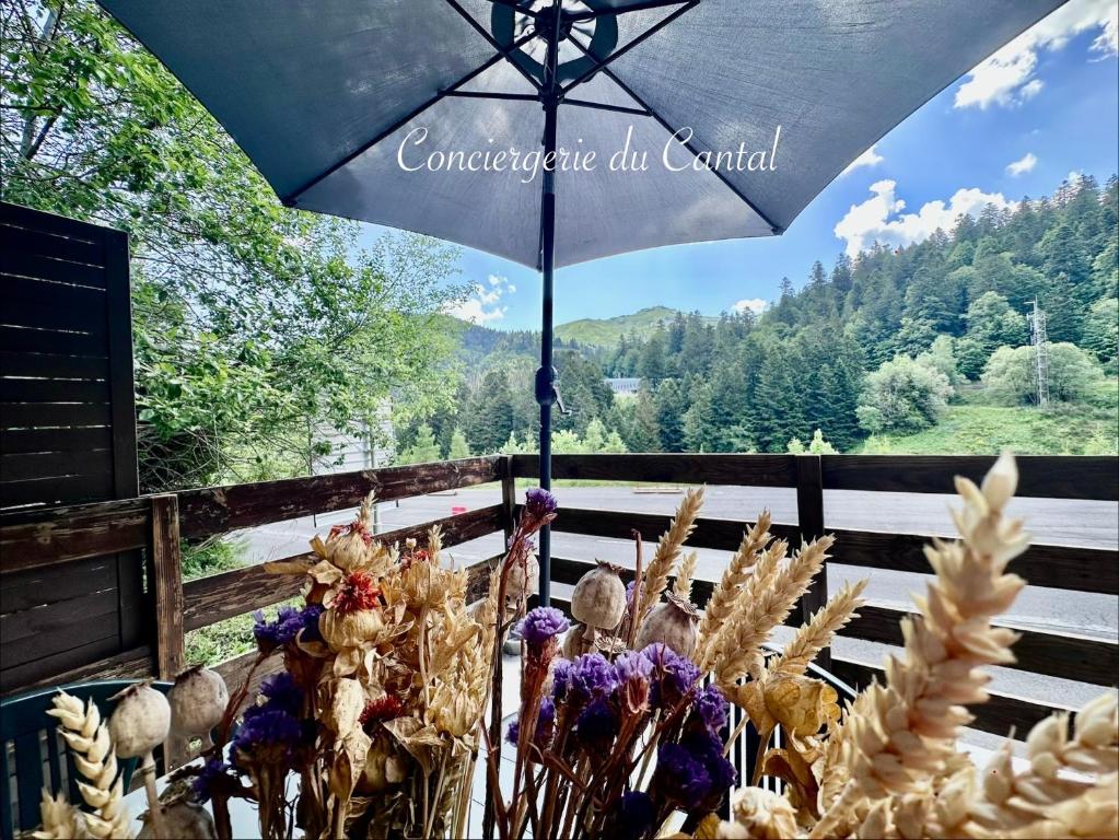 an umbrella with a bunch of chickens standing under it at Lioran - Le bonheur de Loustal in Laveissière