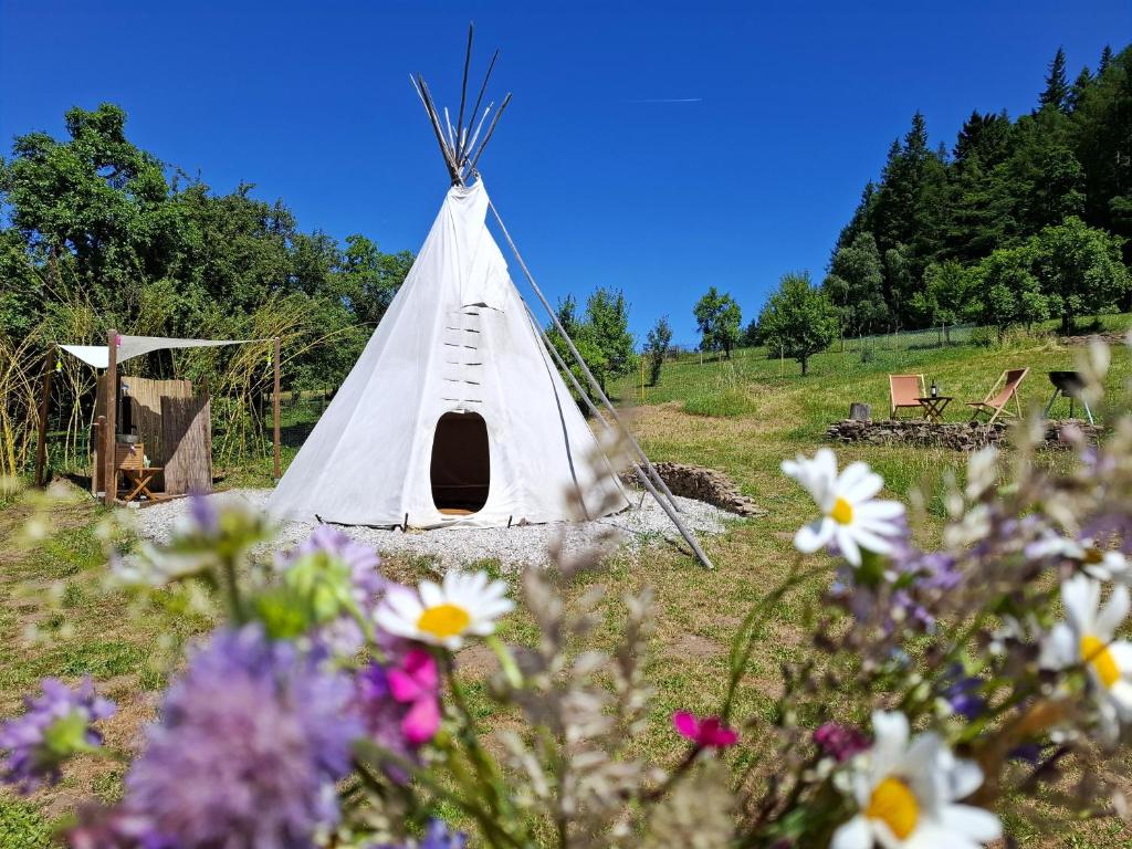 a teepee tent in a field with flowers at Cihelna 10 Teepee&Wine in Hlavňovice