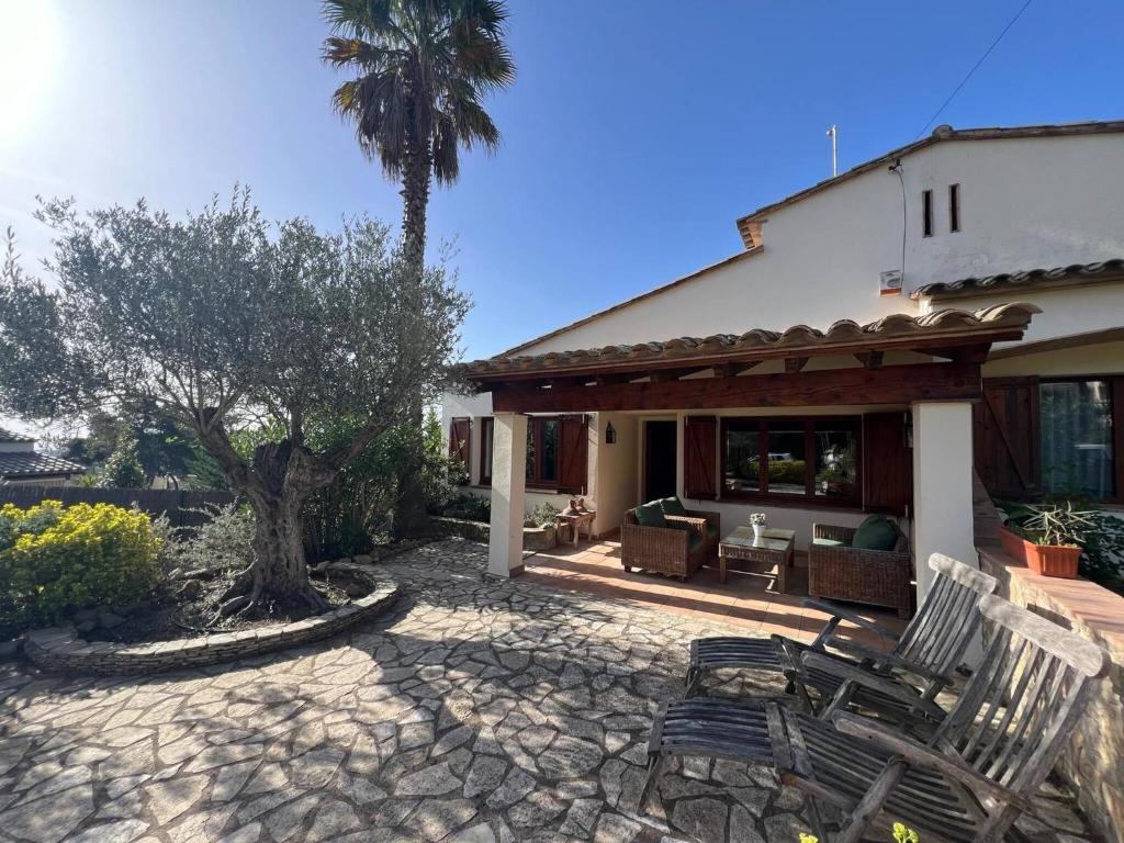 a patio with two chairs and a palm tree at Torre Vella 66 in Torroella de Montgrí