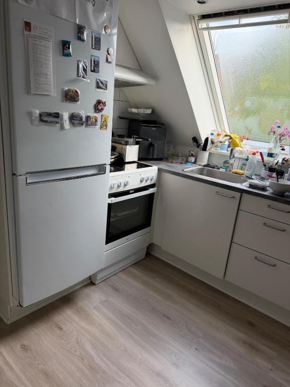 a kitchen with a white refrigerator and a sink at Quiet Apartment in Horsens in Horsens