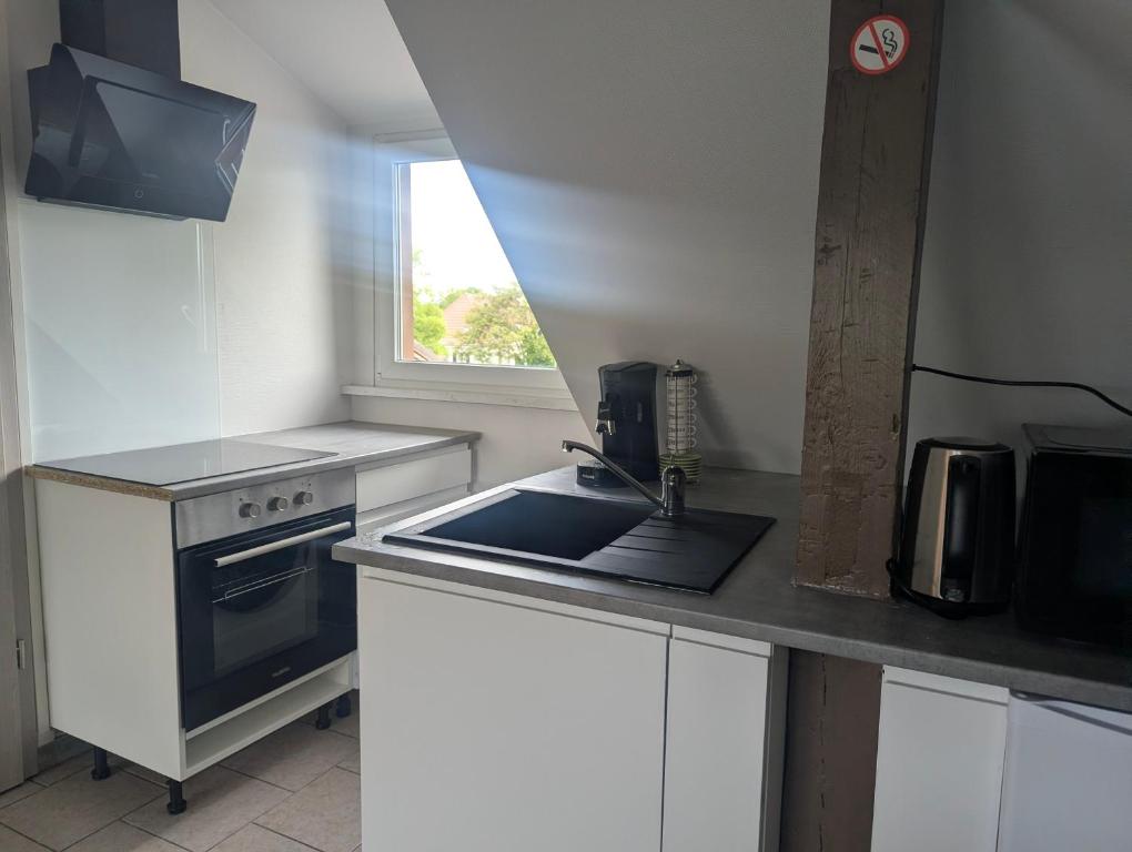 Le Regard - appartement 2 chambres ou studio, salon, cuisine équipée, parking et wifi gratuit – photo 11