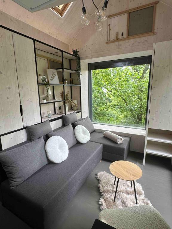 a living room with a gray couch and a window at Posed v korunách stromů in Kutná Hora