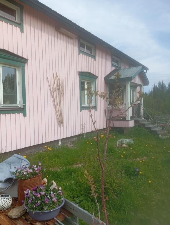 a pink house with flowers in front of it at Guest Room in Liviöjärvi