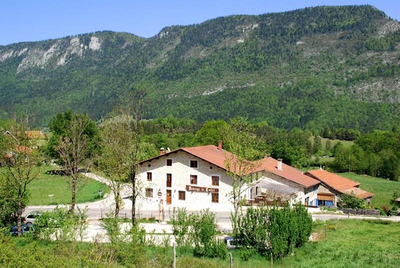a house in a field with a mountain in the background at Auberge le Collet in Saint-Agnan-en-Vercors