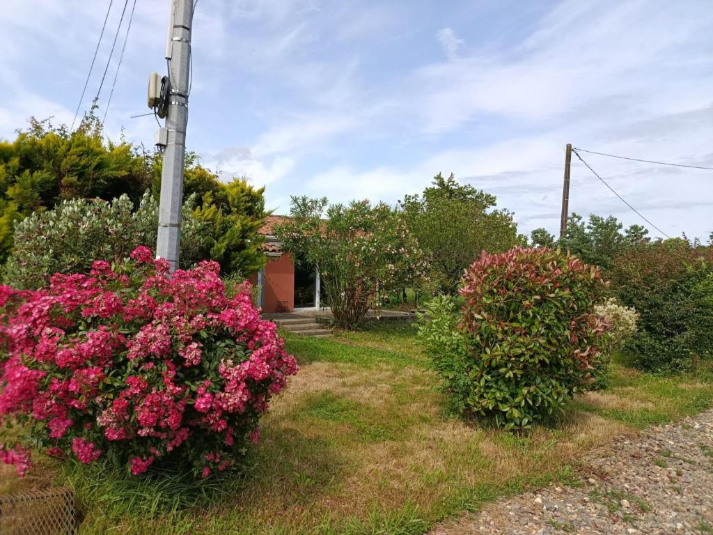 two bushes with pink flowers in front of a house at Appartement Mugron in Mugron