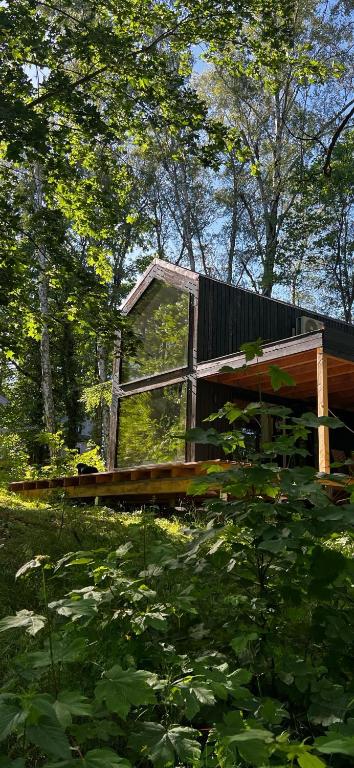 a wooden cabin in the middle of a forest at Bosco Due in Łagów