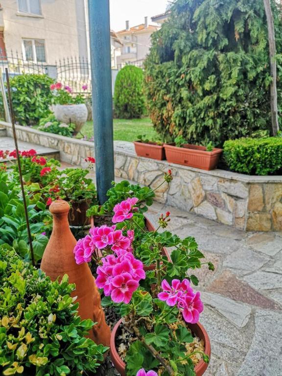 a group of flowers in pots in a garden at Къща за гости ПЕРФЕКТО in Chernomorets