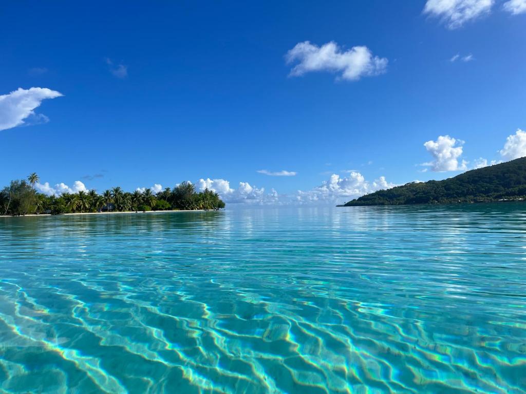 Blue Coral House, Luxury Waterfront - photo 5 - Huahine, Polynésie