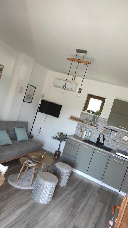 a living room with a couch and a kitchen at Apartman Noemi in Apševci