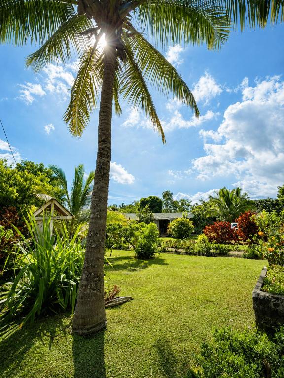 a palm tree in the middle of a lawn at Cabañas Anariki in Hanga Roa